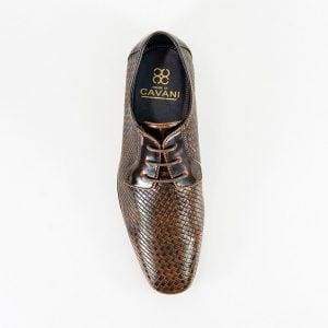 Cavani Rex Tan Formal Shoe - Shoes