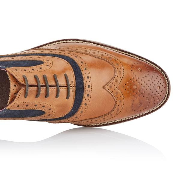 Brogue Shelby Oxford Tan Navy Shoes - Shoes